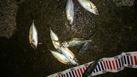 足で稼ぐ遠投アジング